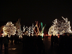 110 Toledo Zoo Light Show [2008 Dec 27]